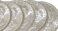 Morgan Silver Dollar Roll of 20 1921 BU Coins
