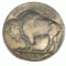 Buffalo Nickels