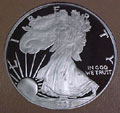 2005 Gem Proof Silver Eagle Dollar Singles