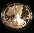 2006 Gem Proof Silver Eagle Dollar Singles